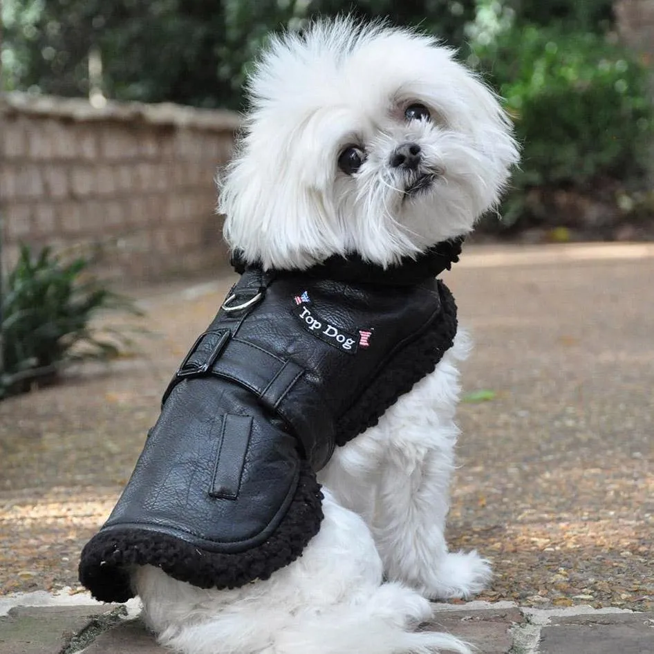 Black Top Dog Flight Coat With Leash