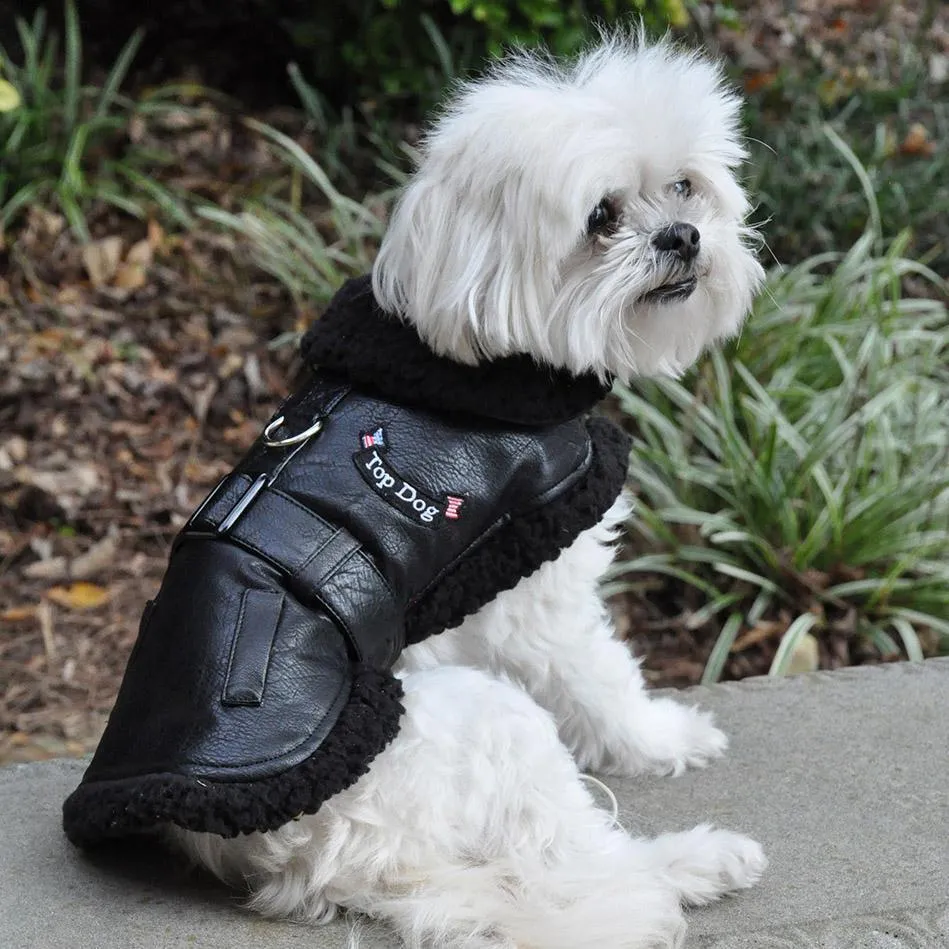 Black Top Dog Flight Coat With Leash