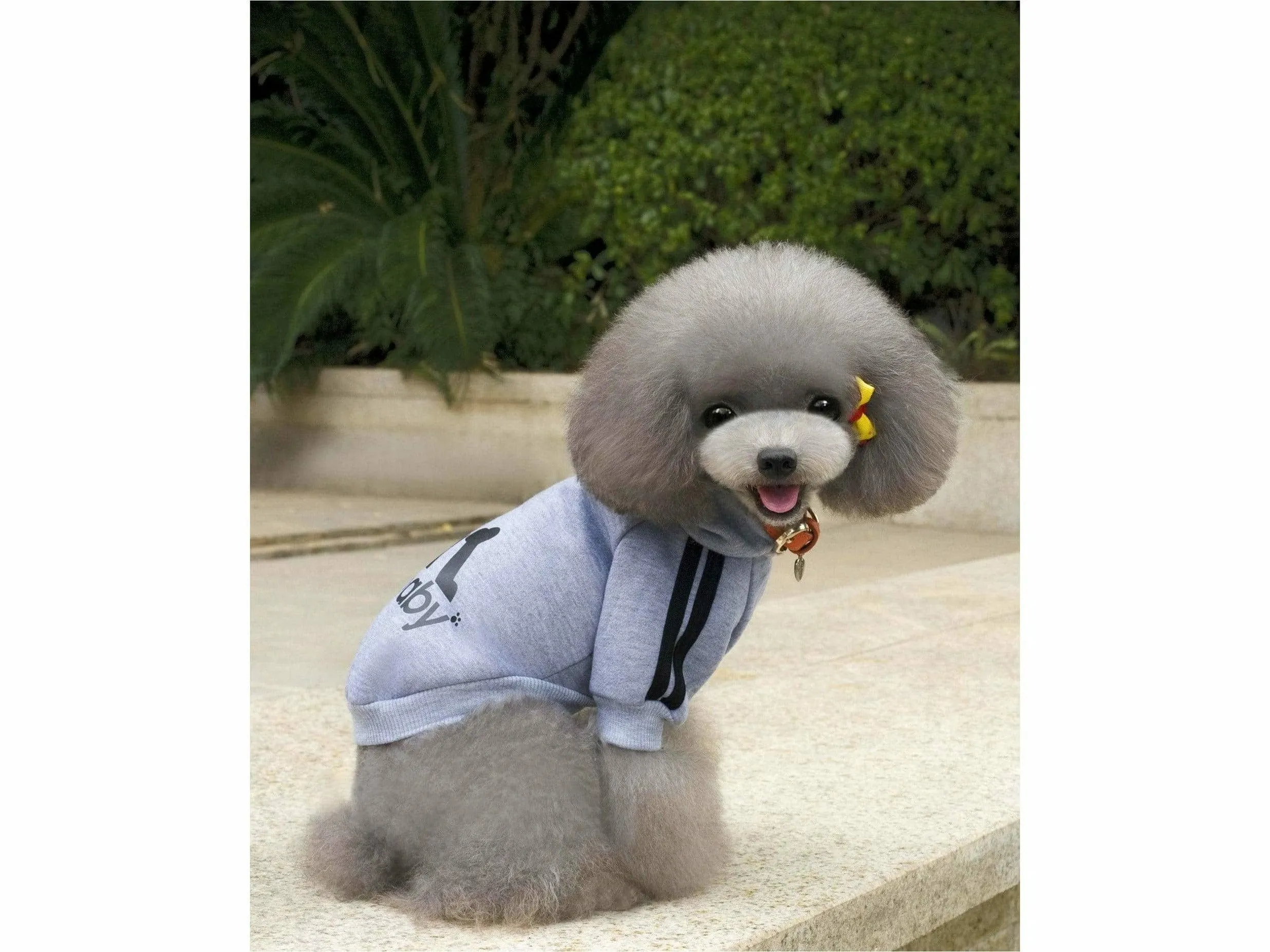 dog clothes Grey XS L-82