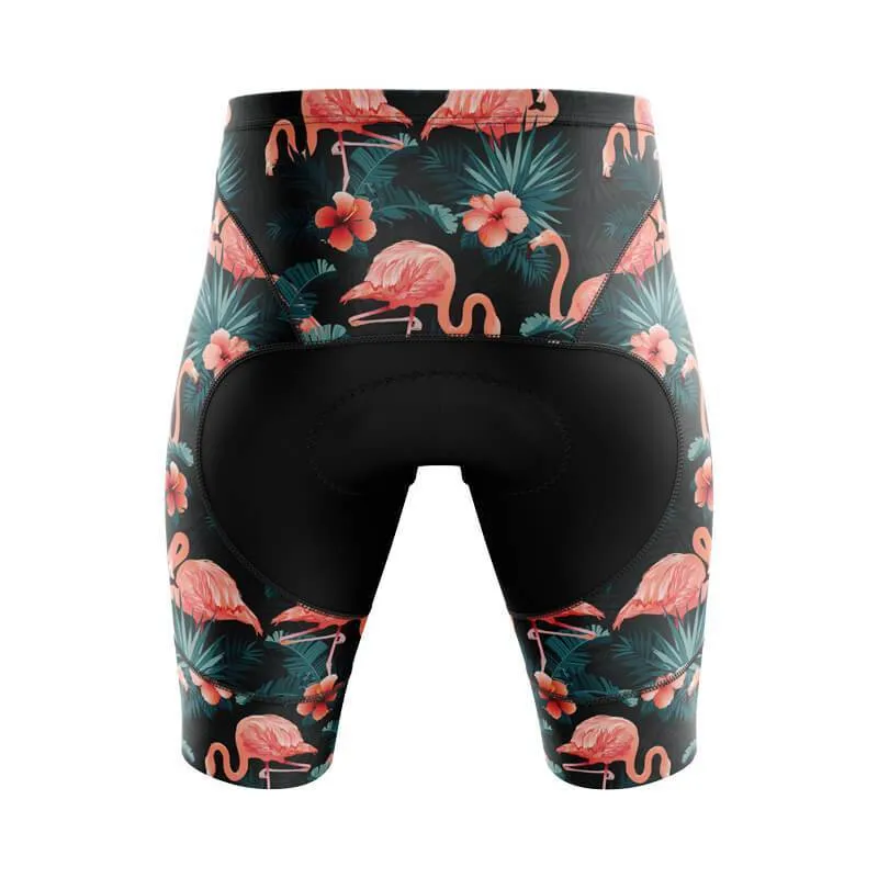 Flamingo Shorts & Pants