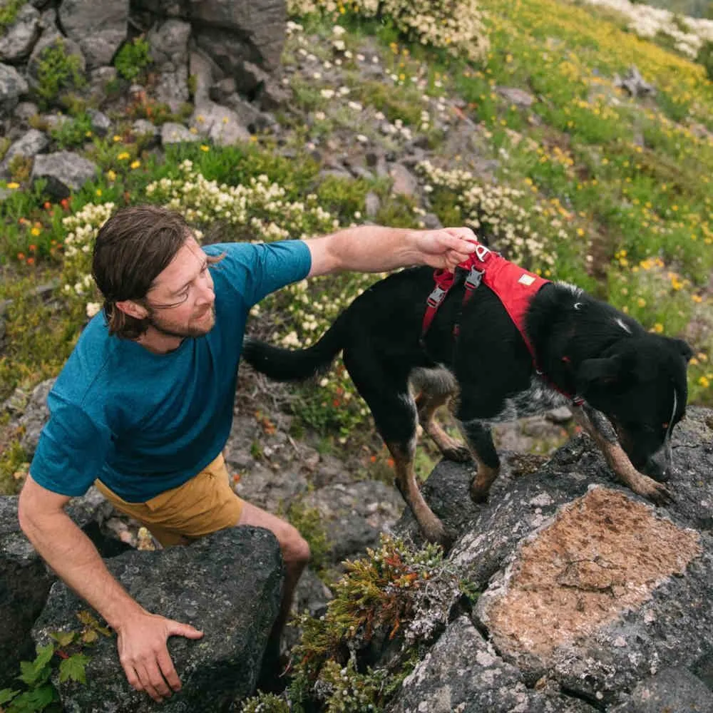 Ruffwear Flagline Lightweight No-Pull Handled Dog Harness (Sage Green)