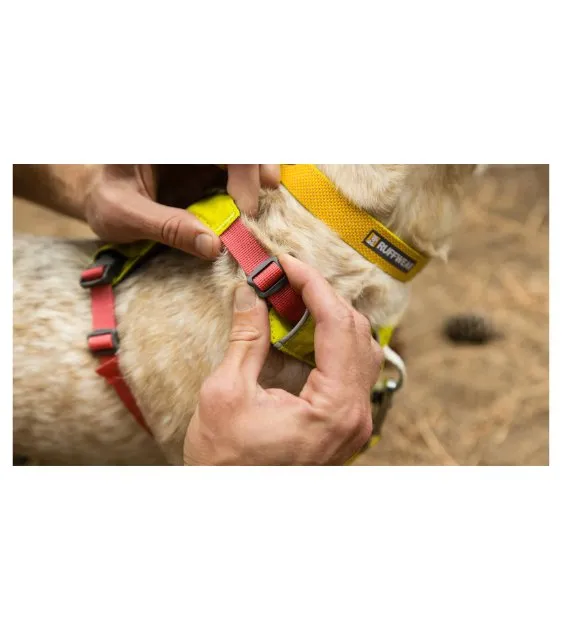 Ruffwear Hi & Light™ Lightweight Dog Harness (Sage Green)