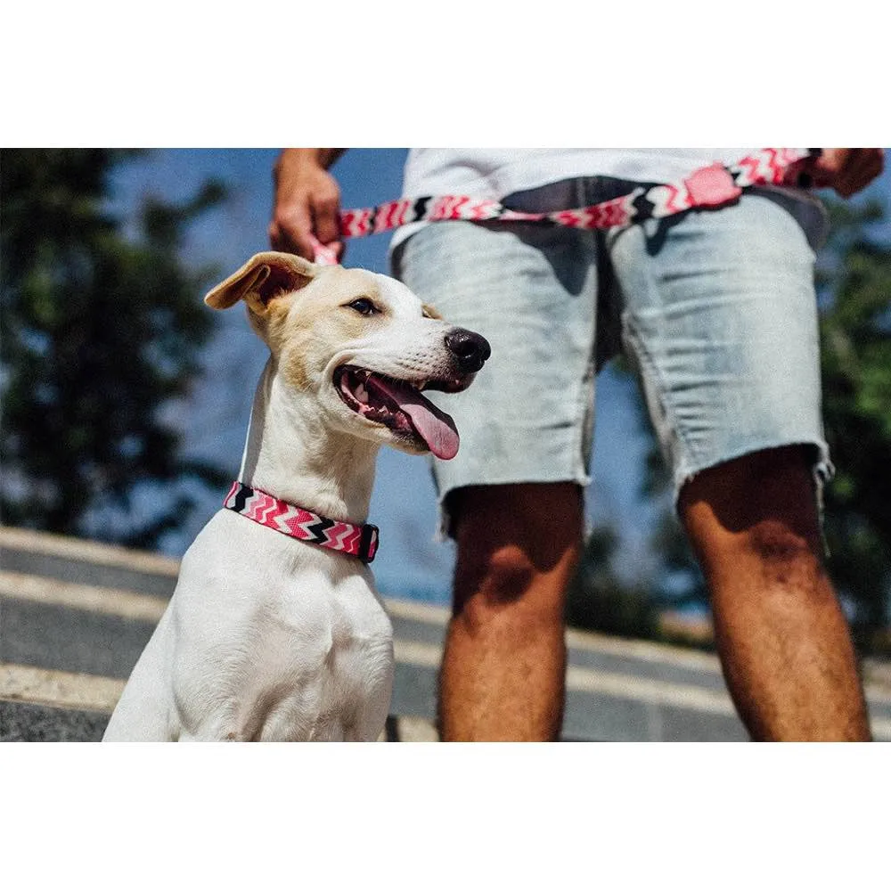 Zee.Dog Maui Dog Collar